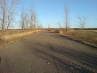 DSC00019.JPG